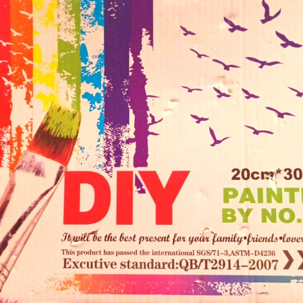 Diy painting 🎨🖌️ project